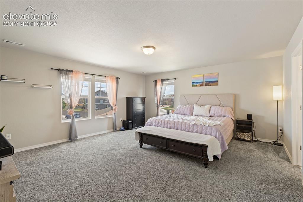 7901 Berwyn Loop Peyton CO 80831