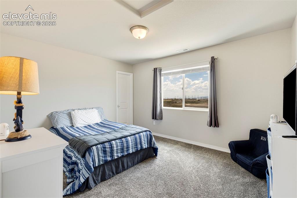 7901 Berwyn Loop Peyton CO 80831