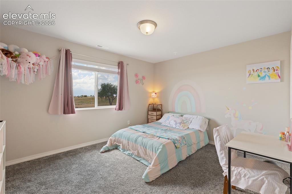 7901 Berwyn Loop Peyton CO 80831