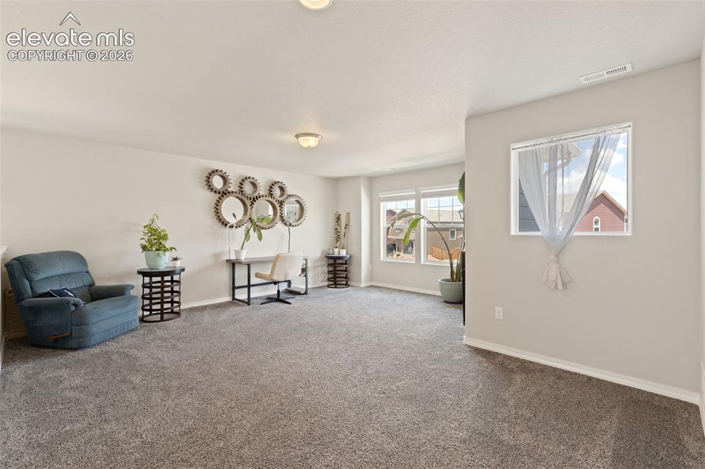 7901 Berwyn Loop Peyton CO 80831