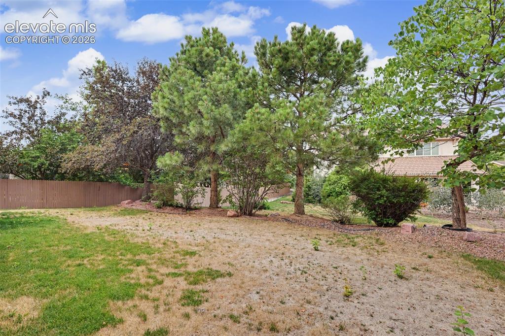 9630 Hollyleaf Court Colorado Springs CO 80920