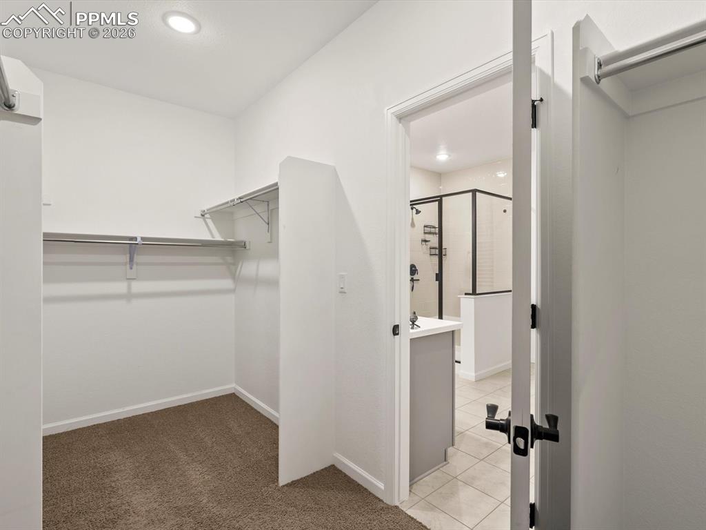 3044 Bivouac Point Castle Rock CO 80108