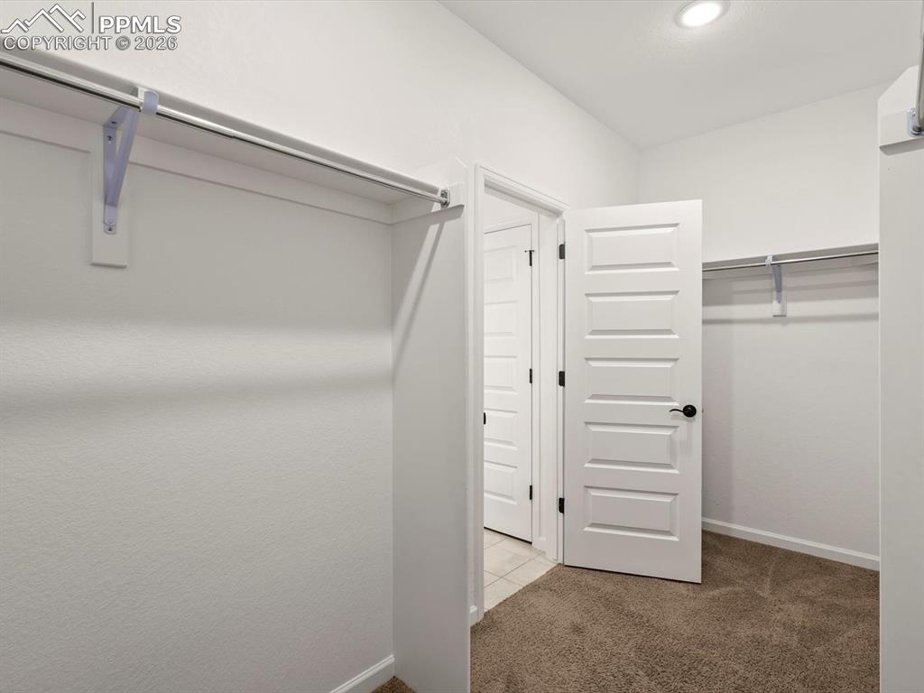 3044 Bivouac Point Castle Rock CO 80108