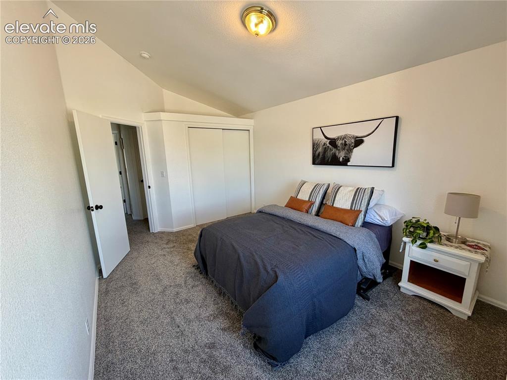 1529 Chutney Court Colorado Springs CO 80907