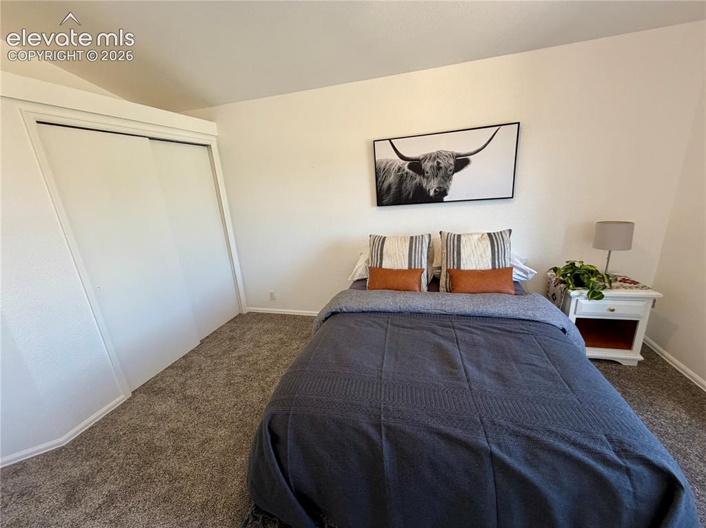 1529 Chutney Court Colorado Springs CO 80907