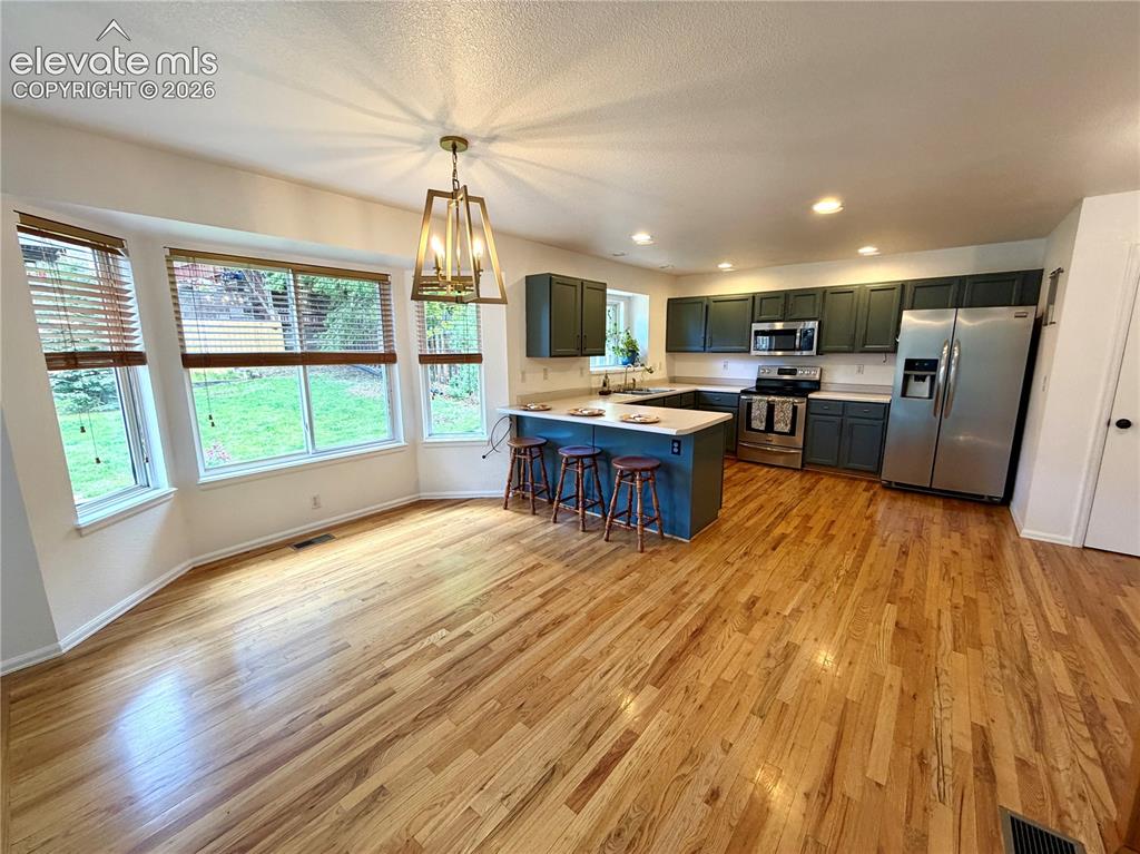 1529 Chutney Court Colorado Springs CO 80907