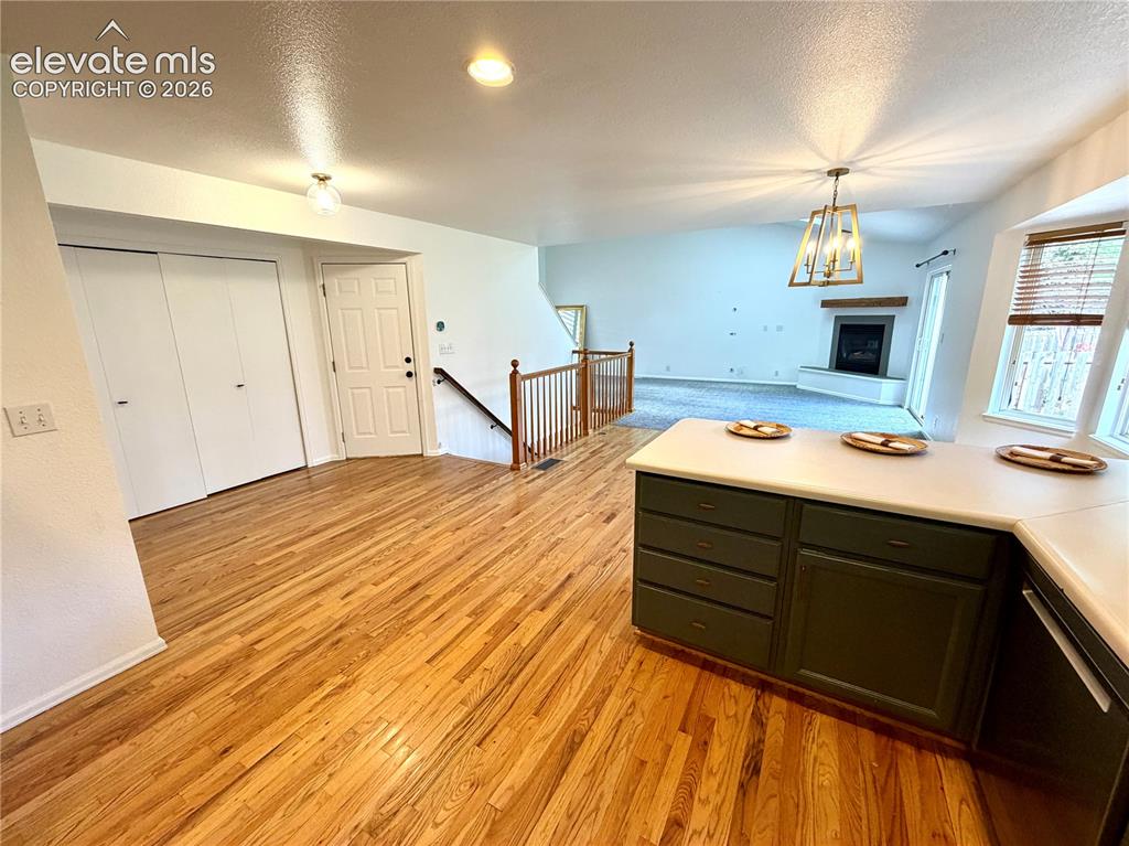 1529 Chutney Court Colorado Springs CO 80907