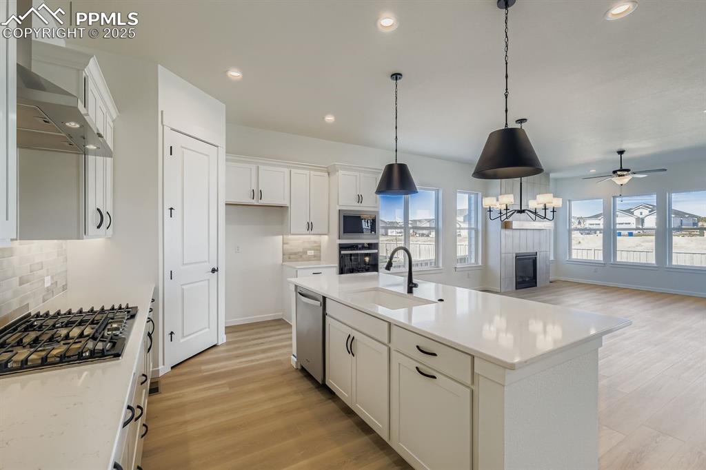 8436 William Downing Drive Colorado Springs CO 80908