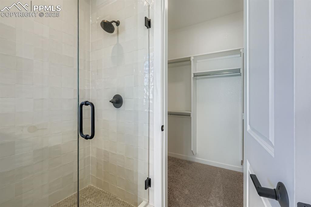 8436 William Downing Drive Colorado Springs CO 80908