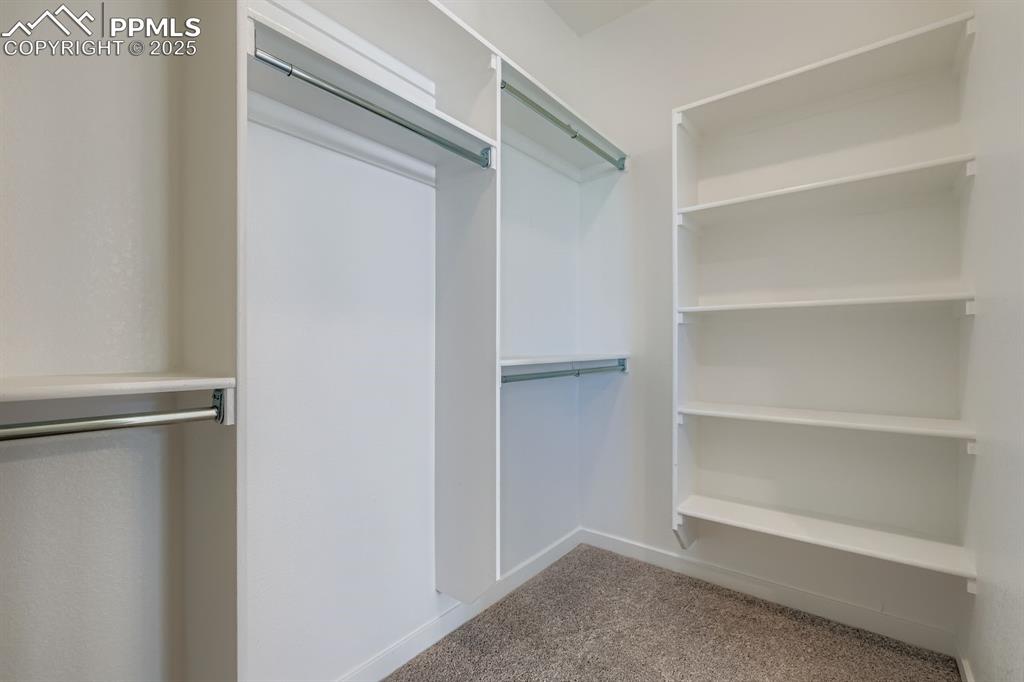 8436 William Downing Drive Colorado Springs CO 80908