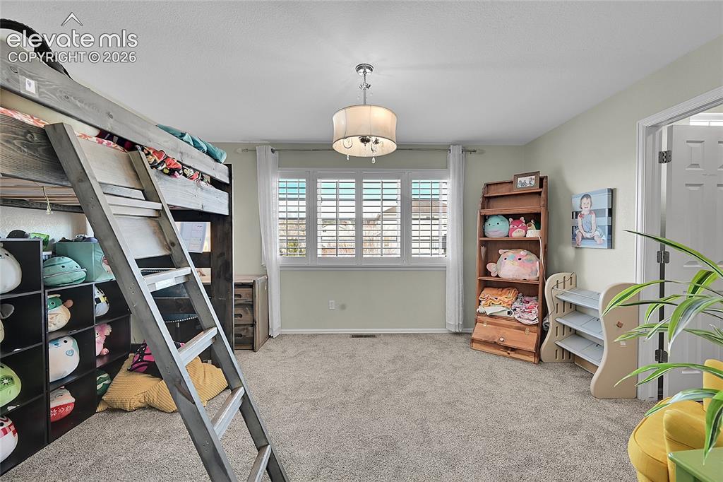 514 Coyote Willow Drive Colorado Springs CO 80921