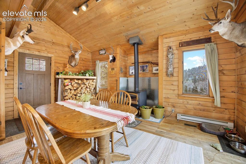 715 W Bison Creek Trail Florissant CO 80816