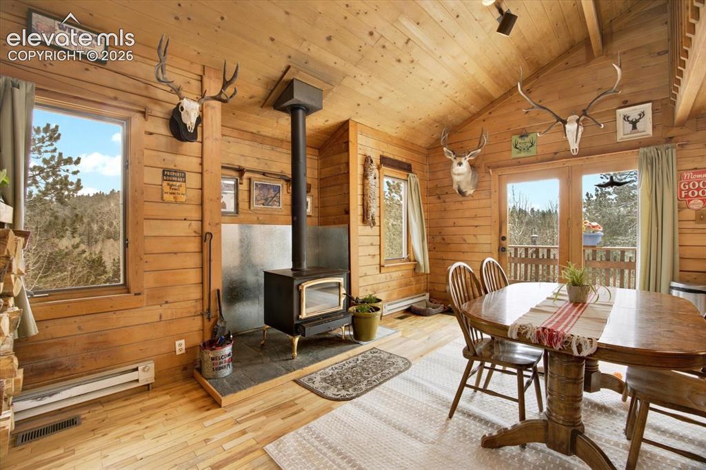 715 W Bison Creek Trail Florissant CO 80816