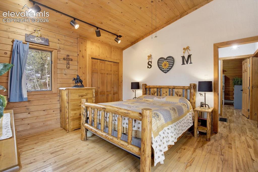 715 W Bison Creek Trail Florissant CO 80816