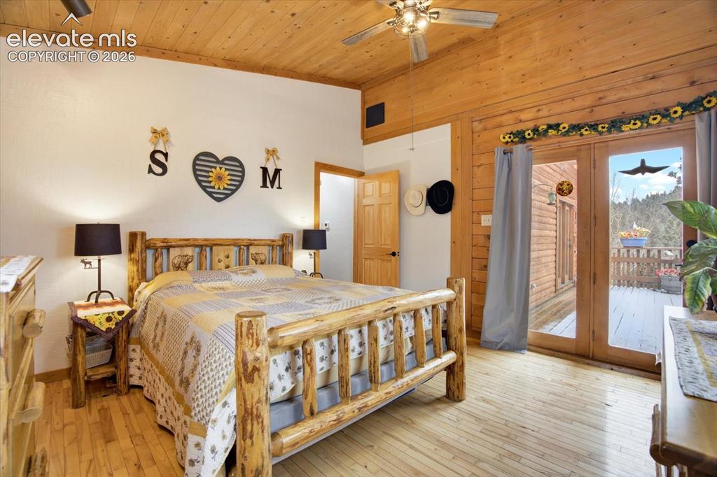 715 W Bison Creek Trail Florissant CO 80816