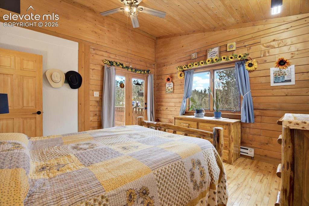 715 W Bison Creek Trail Florissant CO 80816