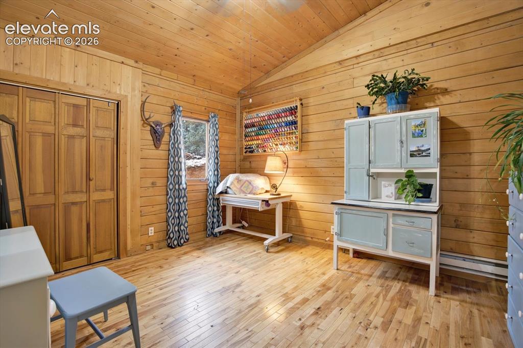 715 W Bison Creek Trail Florissant CO 80816