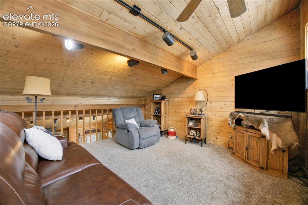 715 W Bison Creek Trail Florissant CO 80816