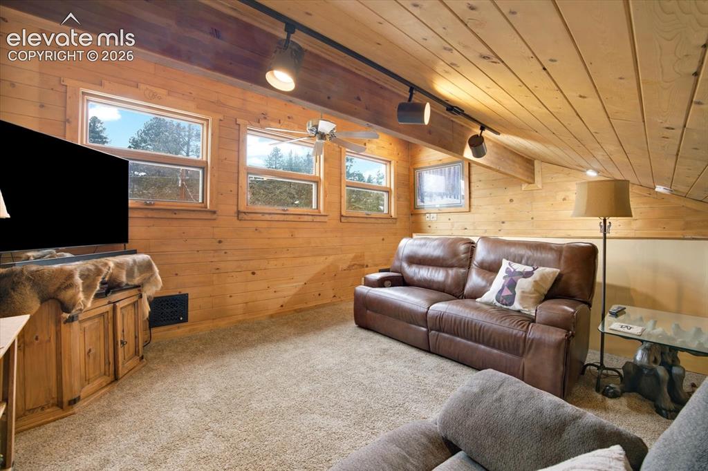 715 W Bison Creek Trail Florissant CO 80816