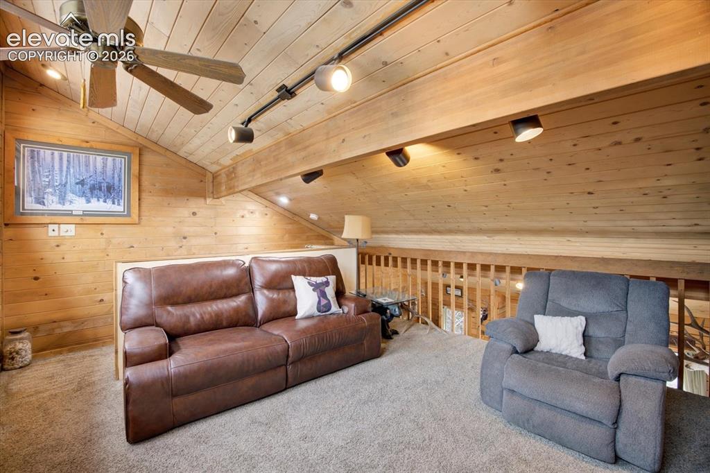 715 W Bison Creek Trail Florissant CO 80816