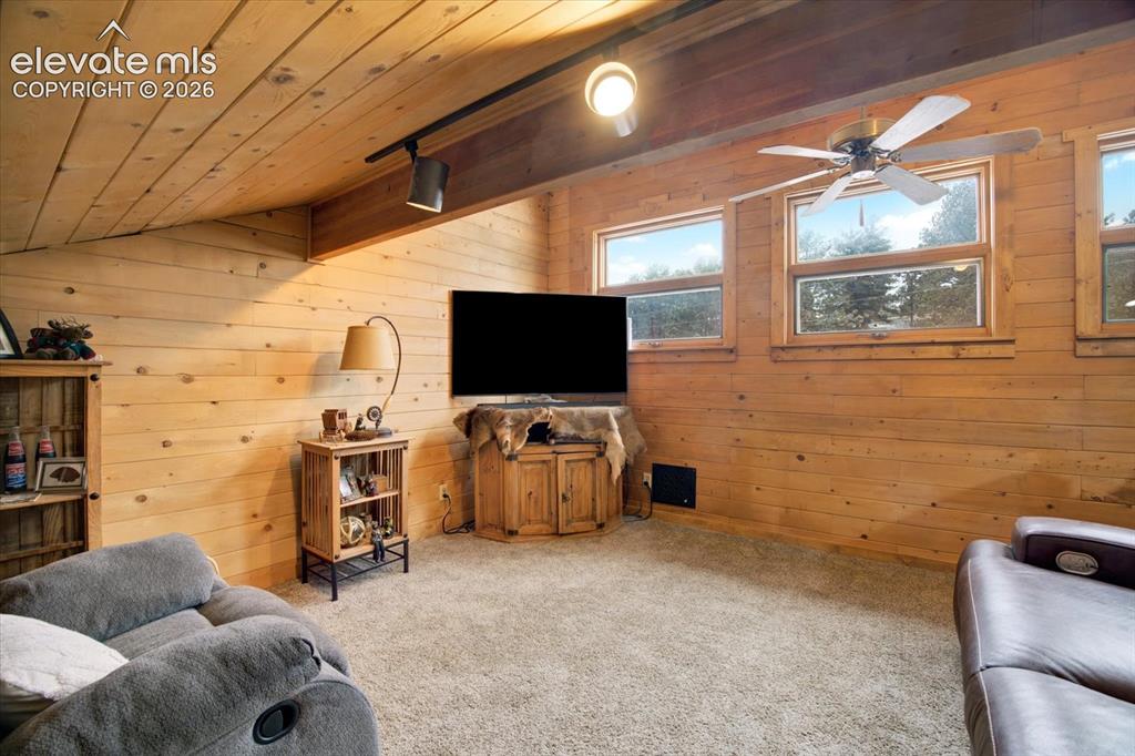 715 W Bison Creek Trail Florissant CO 80816