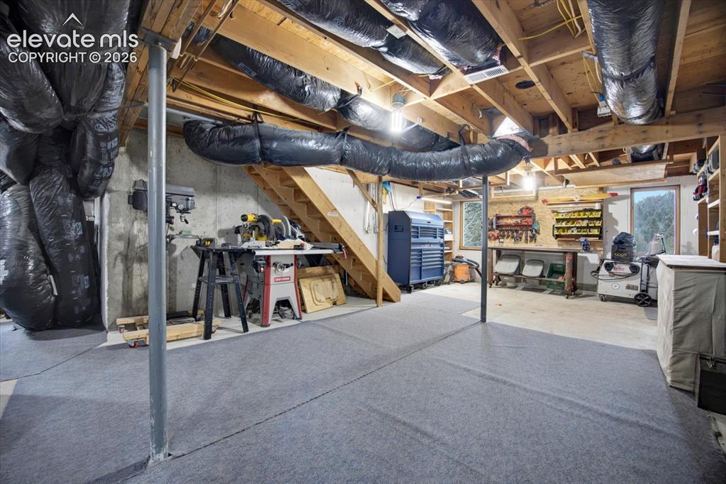 715 W Bison Creek Trail Florissant CO 80816