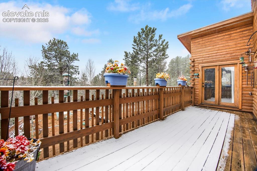 715 W Bison Creek Trail Florissant CO 80816