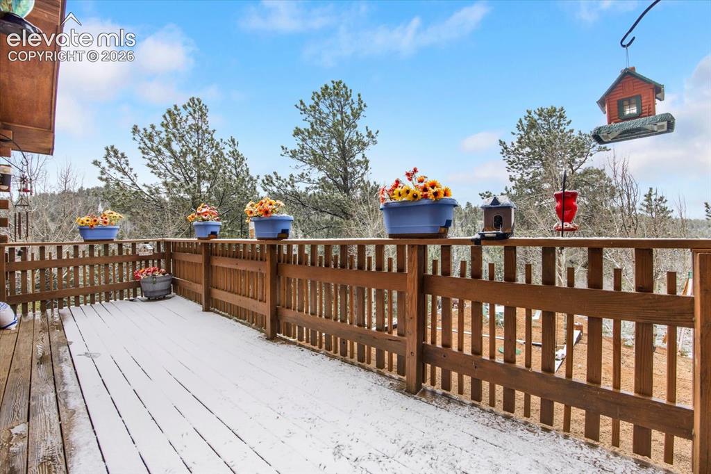 715 W Bison Creek Trail Florissant CO 80816
