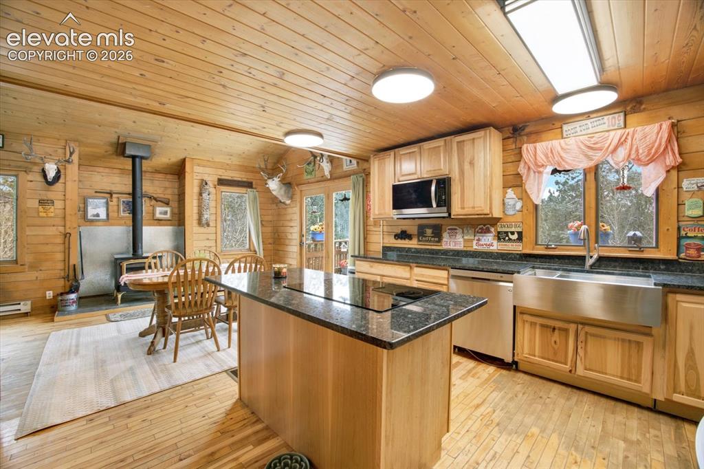 715 W Bison Creek Trail Florissant CO 80816