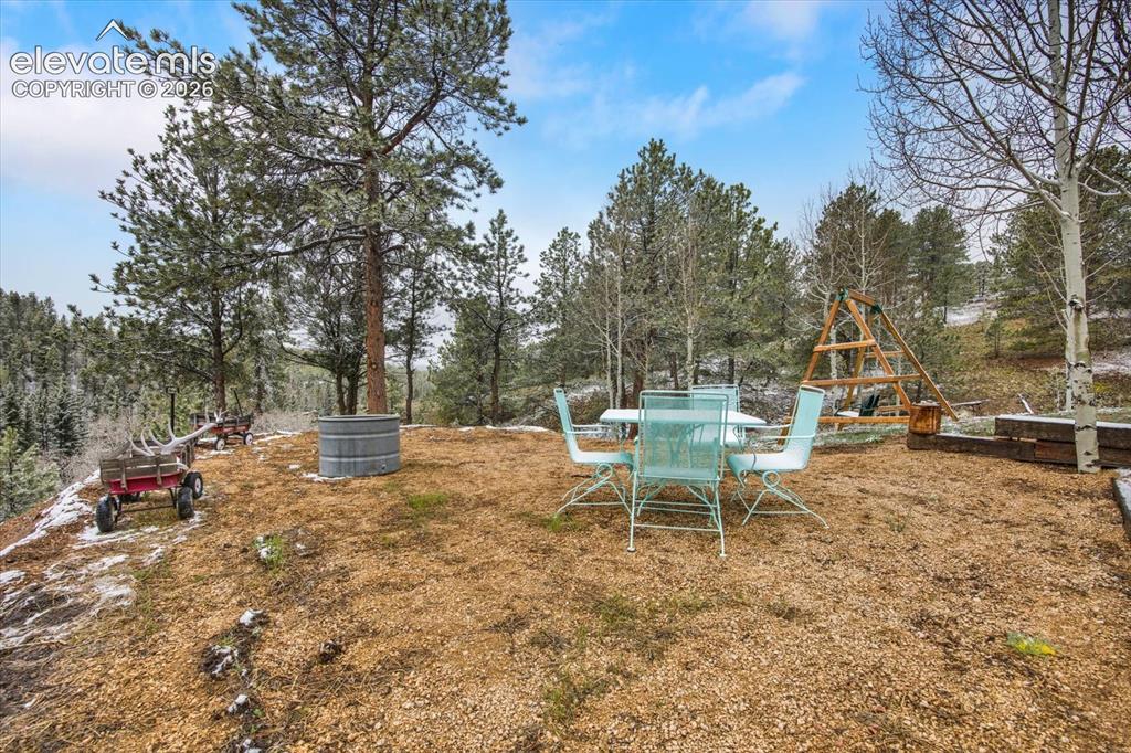 715 W Bison Creek Trail Florissant CO 80816