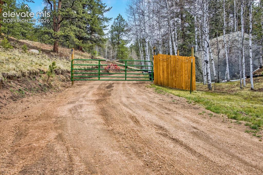 715 W Bison Creek Trail Florissant CO 80816