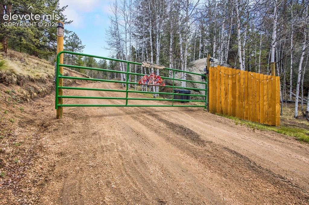 715 W Bison Creek Trail Florissant CO 80816