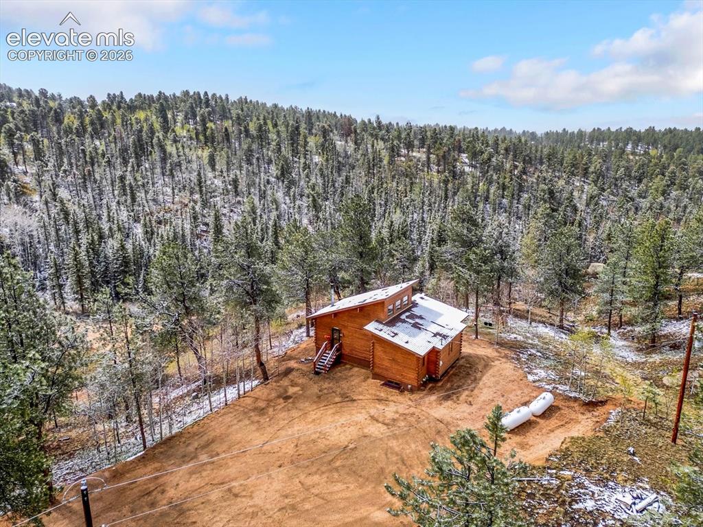 715 W Bison Creek Trail Florissant CO 80816