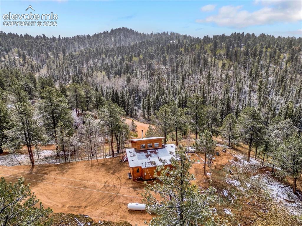 715 W Bison Creek Trail Florissant CO 80816