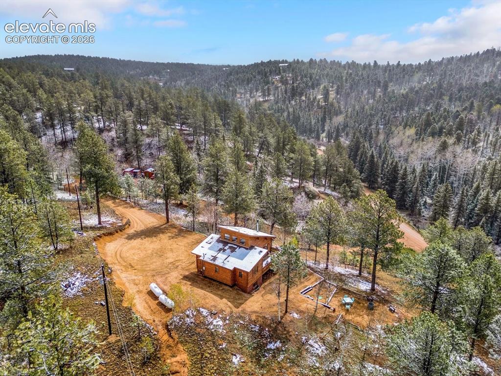 715 W Bison Creek Trail Florissant CO 80816