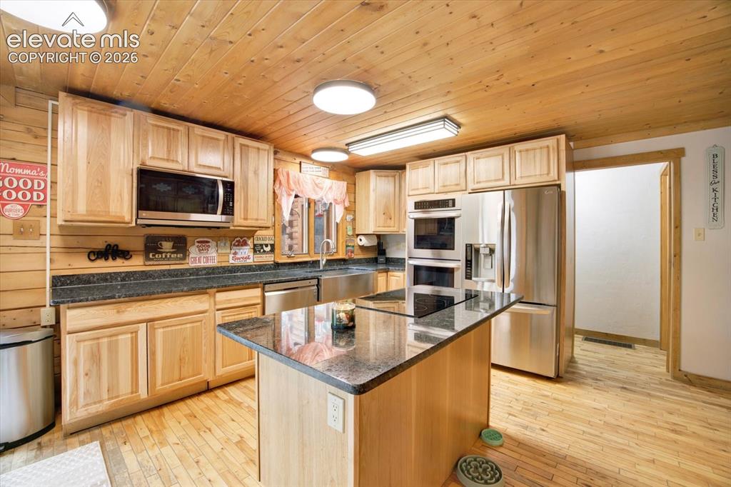 715 W Bison Creek Trail Florissant CO 80816