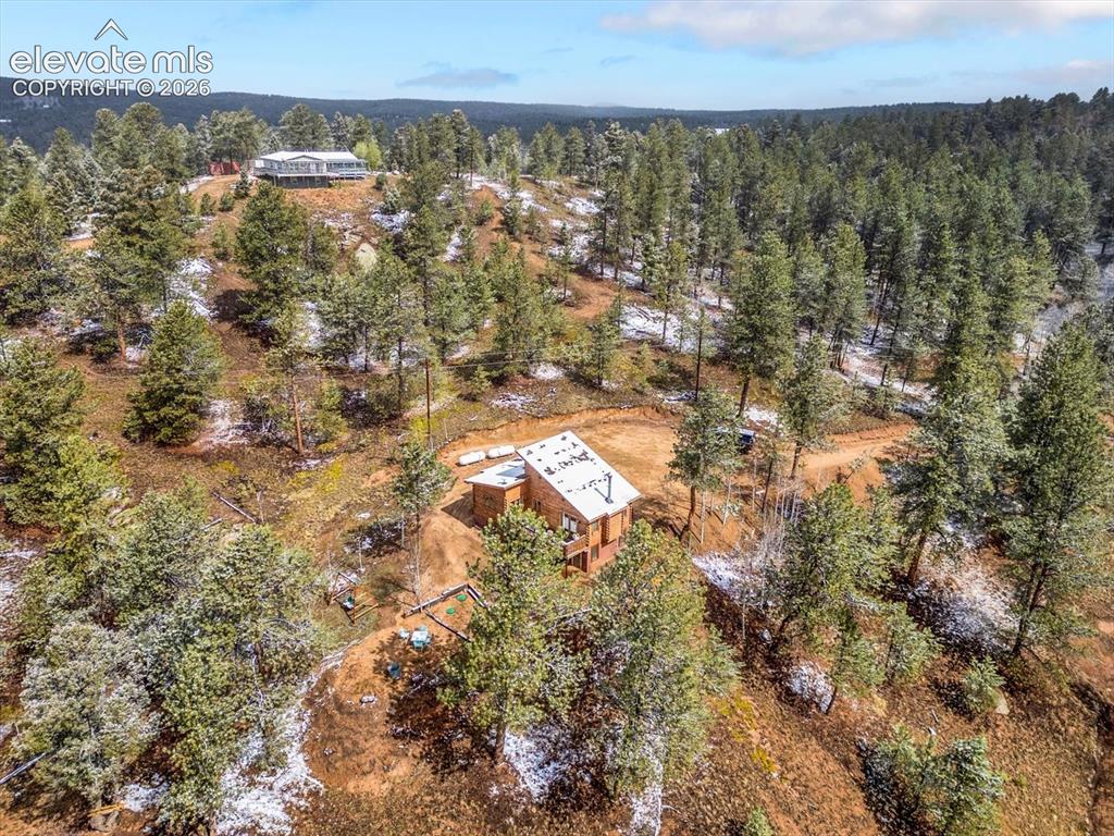 715 W Bison Creek Trail Florissant CO 80816