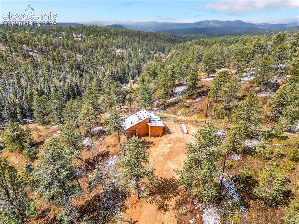 715 W Bison Creek Trail Florissant CO 80816