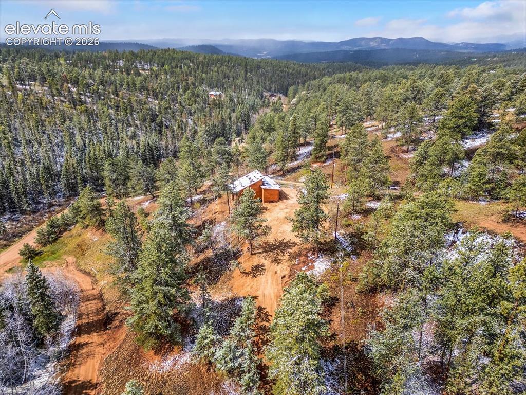 715 W Bison Creek Trail Florissant CO 80816