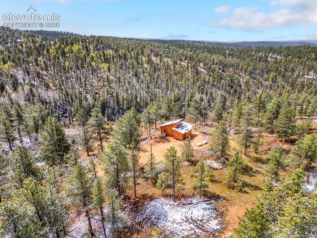 715 W Bison Creek Trail Florissant CO 80816
