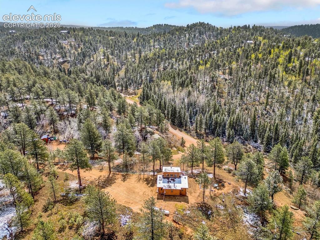 715 W Bison Creek Trail Florissant CO 80816