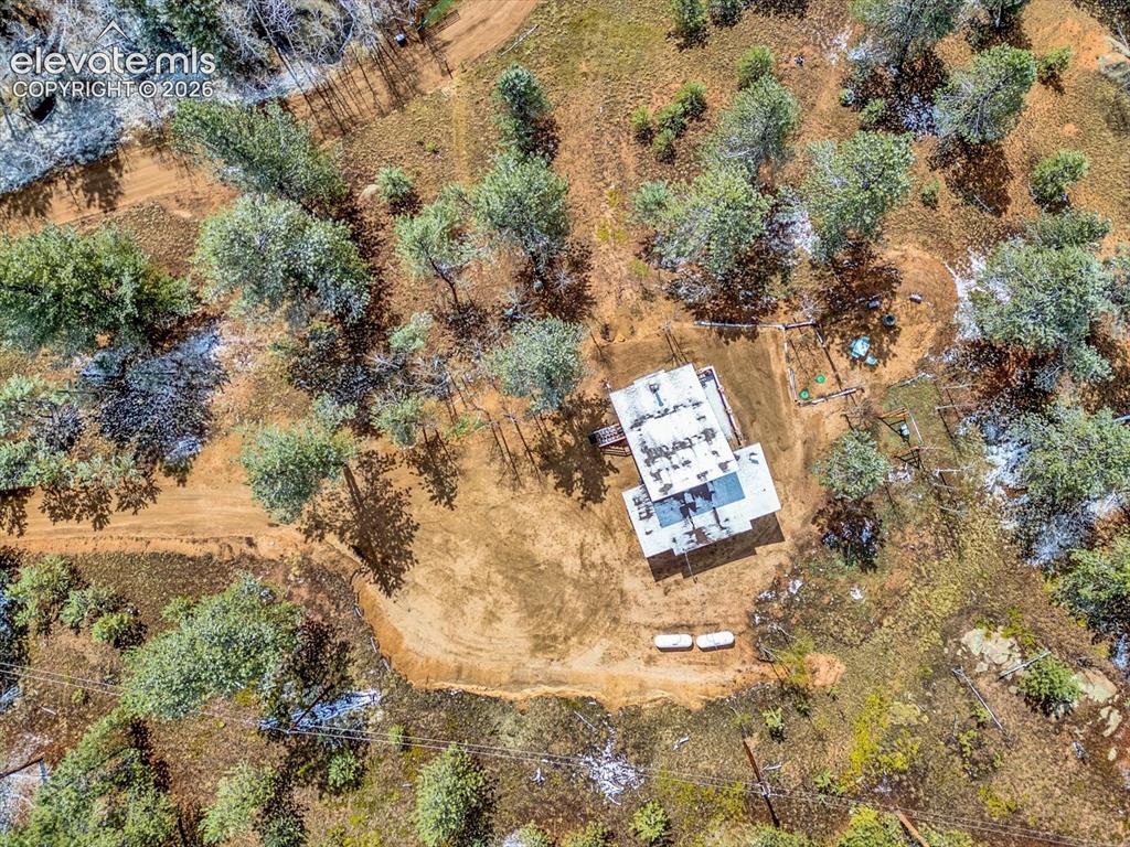 715 W Bison Creek Trail Florissant CO 80816