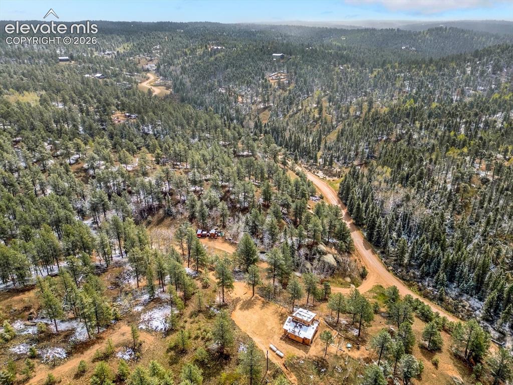 715 W Bison Creek Trail Florissant CO 80816