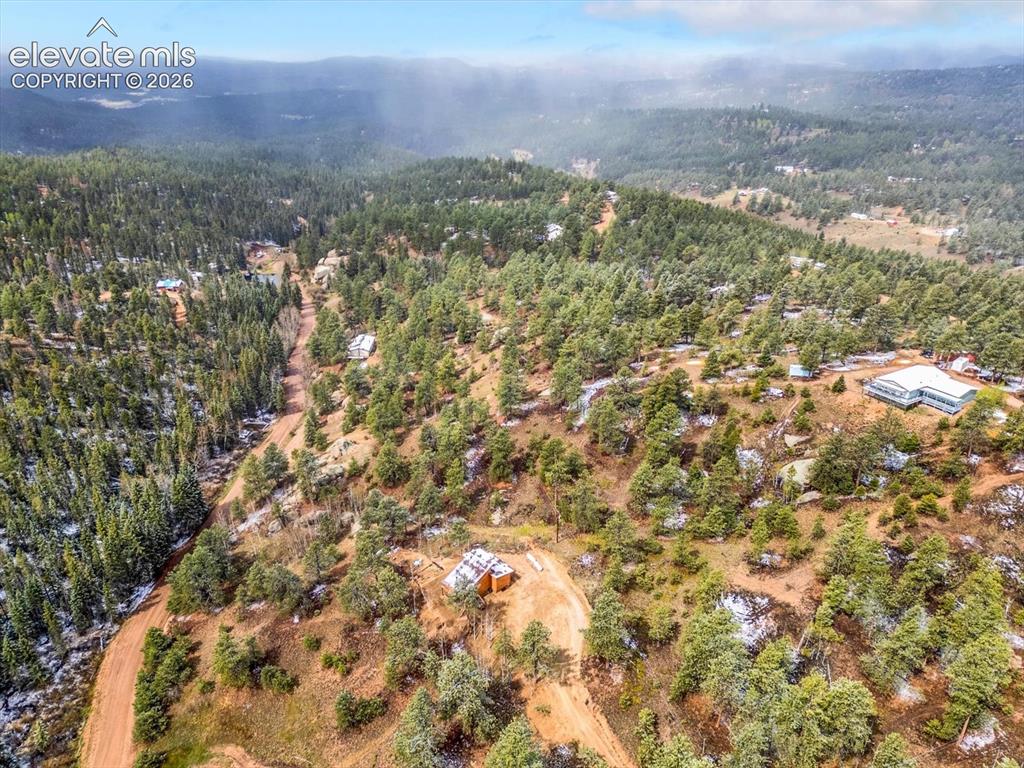 715 W Bison Creek Trail Florissant CO 80816