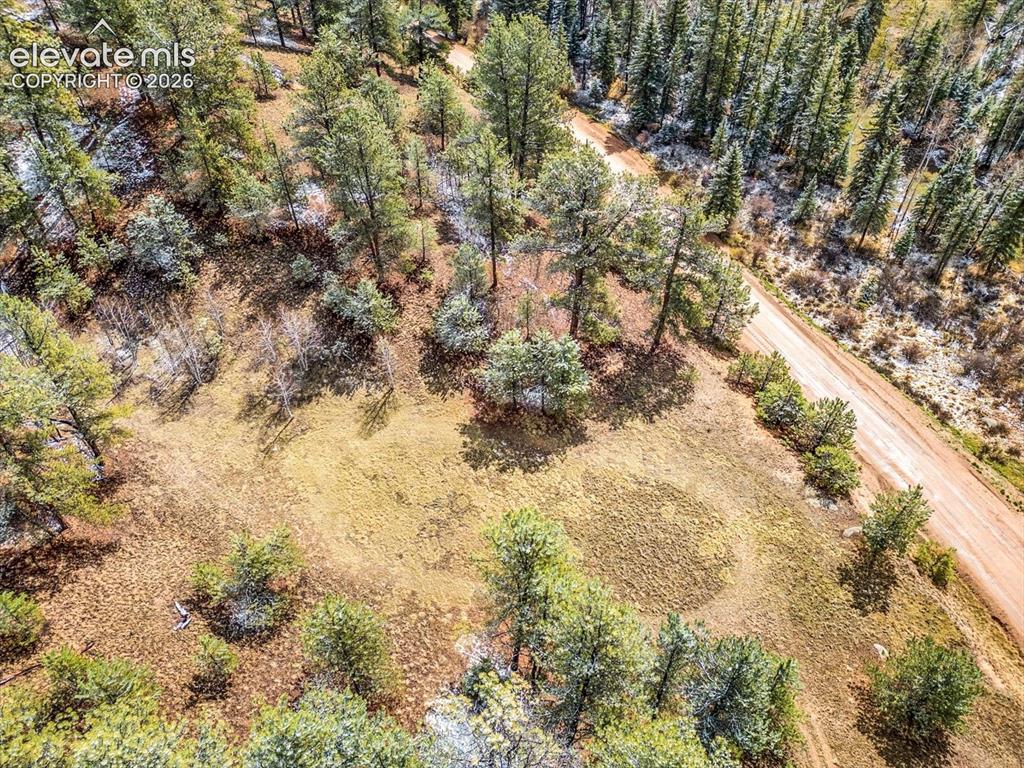 715 W Bison Creek Trail Florissant CO 80816
