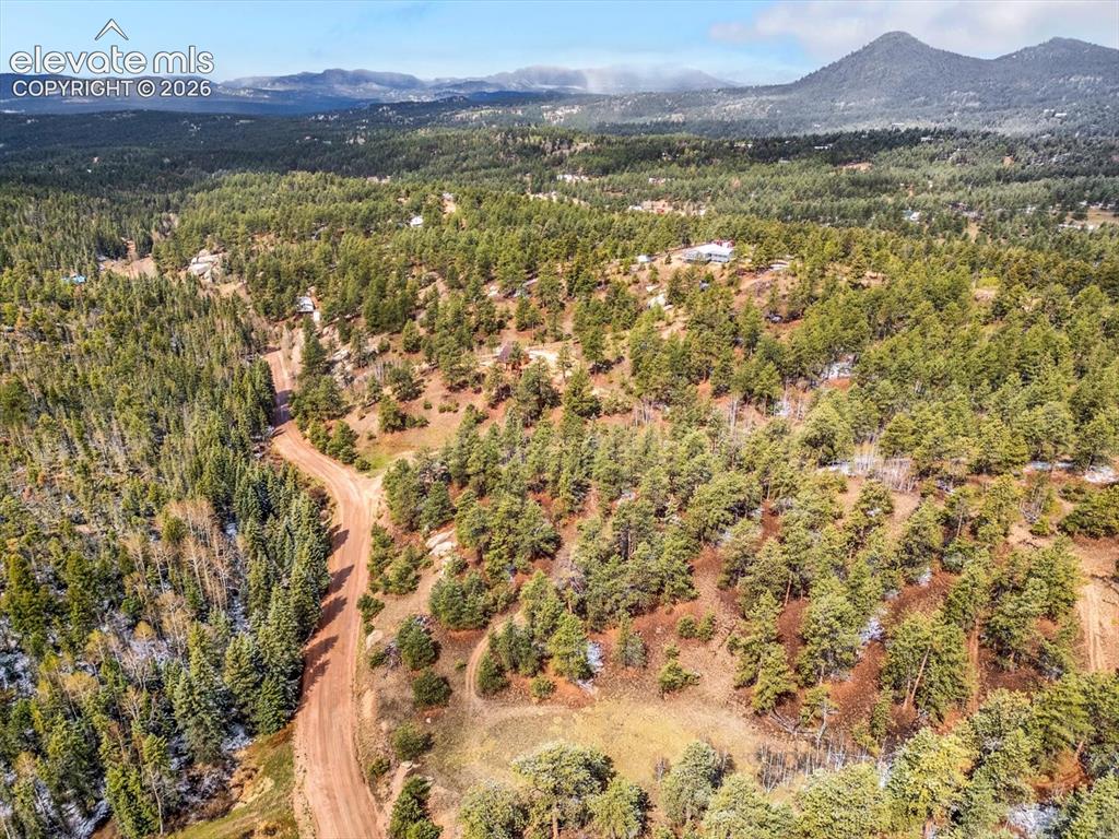 715 W Bison Creek Trail Florissant CO 80816