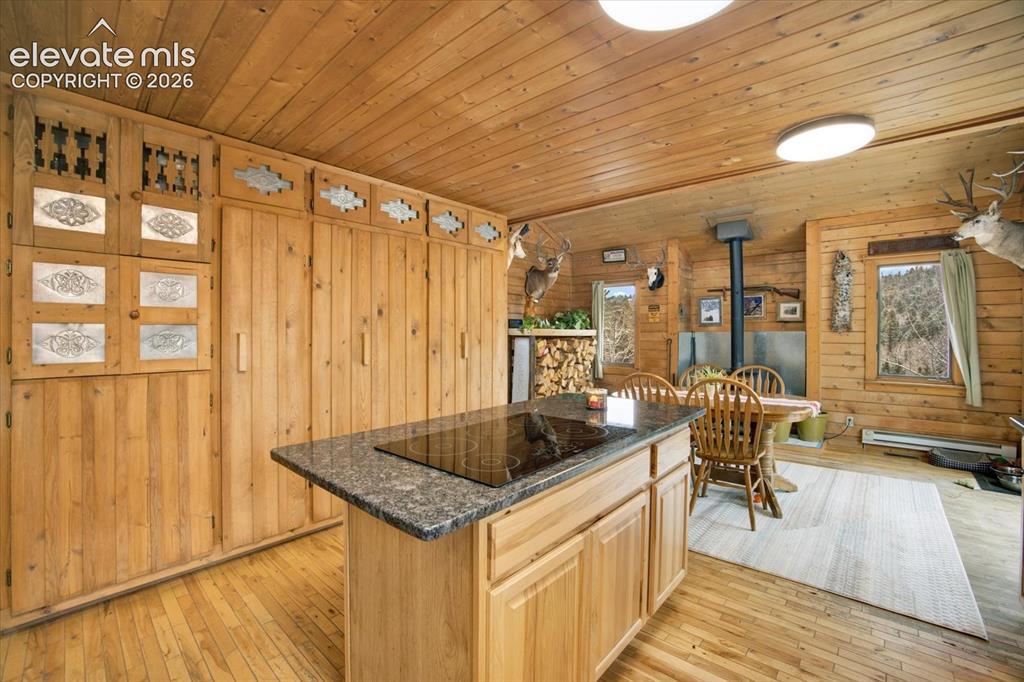 715 W Bison Creek Trail Florissant CO 80816