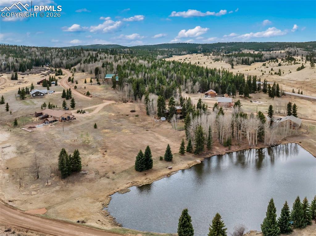 689 Divide South Drive Divide CO 80814