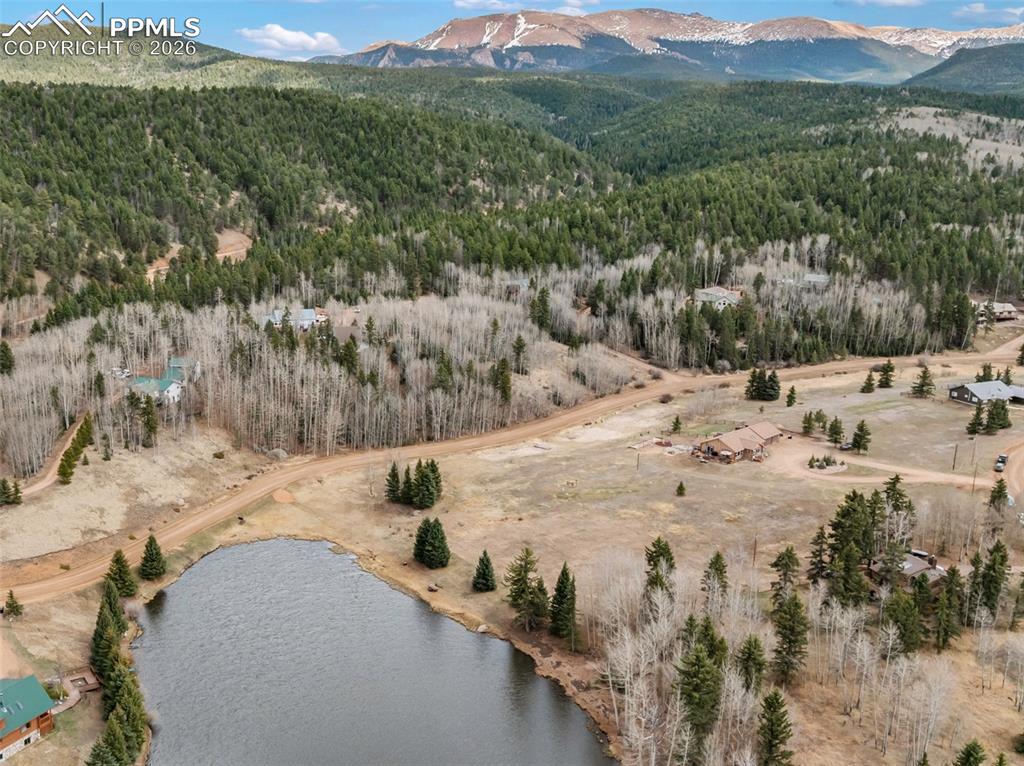 689 Divide South Drive Divide CO 80814