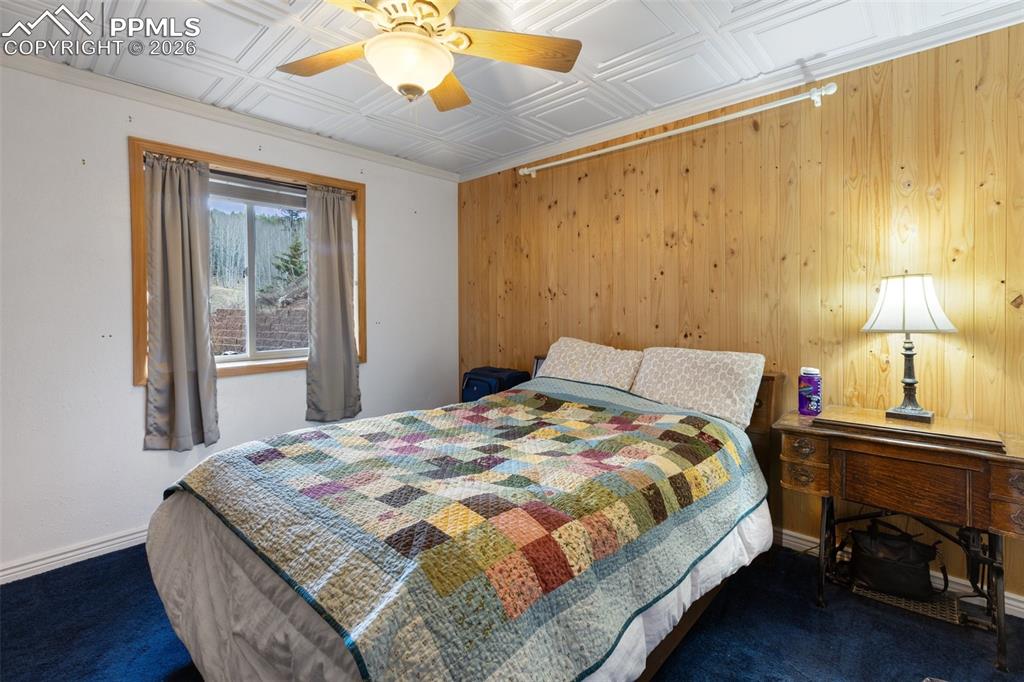 689 Divide South Drive Divide CO 80814